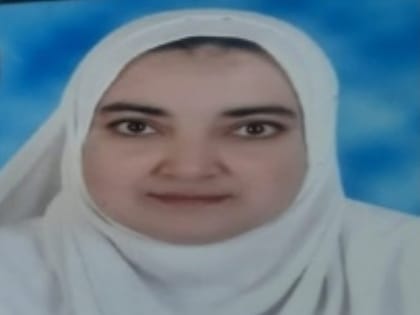 Amira Ali Gouda Shfik